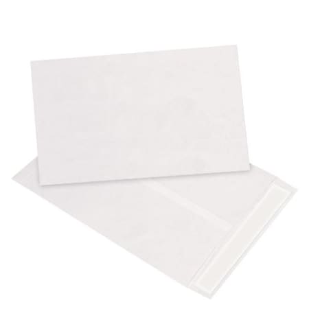 Bsc Preferred 10 x 13'' White Flat Tyvek Envelopes, 100PK BUY00016998